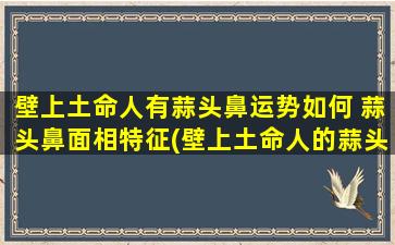 壁上土命人有蒜头鼻运势如何 蒜头鼻面相特征(壁上土命人的蒜头鼻面相特征及运势解析)